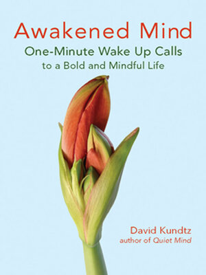 cover image of Awakened Mind